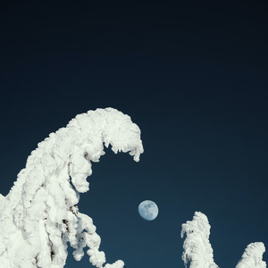 Terkadang Aku Ingin Seperti