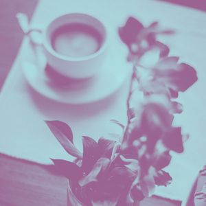 一尘不染咖啡印象数