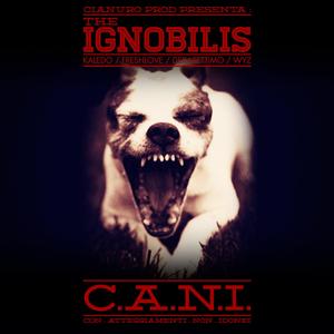 Ignobilism