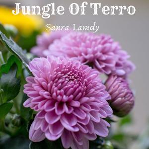 Jungle Of Terro
