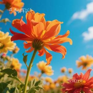 怒放的生命 (Cover 汪峰)