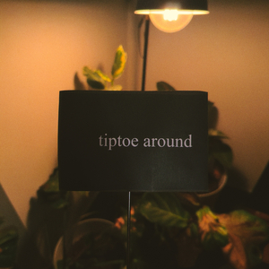 Tiptoe Around