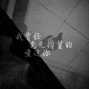 我曾经毫无指望的爱过你