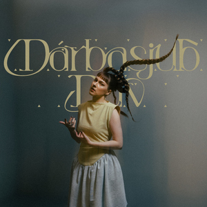 Dálvieste Dálvváje