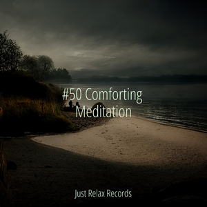 Purrfectly Dreamy Overture