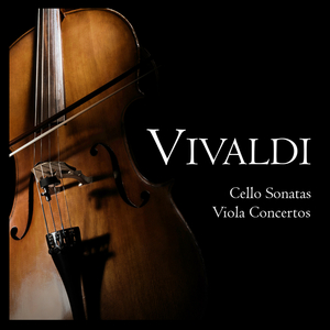 Viola d'amore Concerto in D Minor, RV 395: I. Allegro