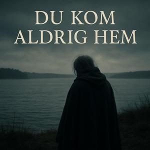 Du kom aldrig hem