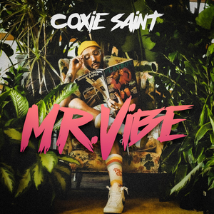 Mr Vibe