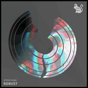 Robust (Original Mix)
