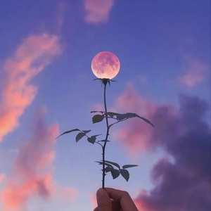 在黎明到来之前