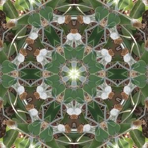 Breath as Prayer 667000 Hz