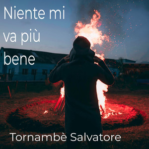 Niente mi va più bene