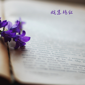 绿暗红稀 (手碟)