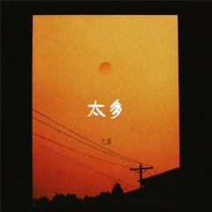 太多 (太多的借口)