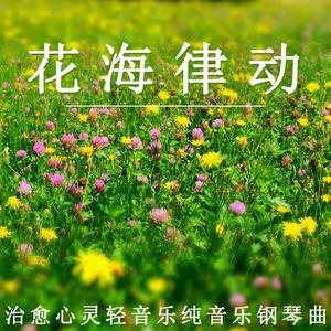 绽放的花海（钢琴）
