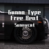 SunnyCat - Gunna Type free Beat