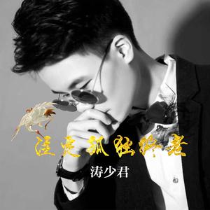 曲肖冰-注定孤独终老（涛少君 remix）