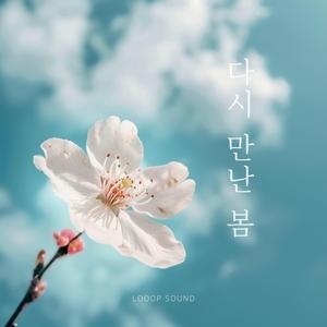 다시 만난 봄 (spring again)