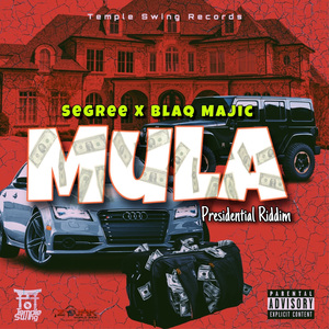 Mula