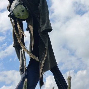 Кошачий лай