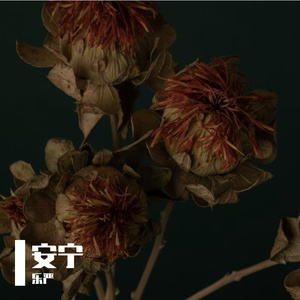 《空灵疗愈之境》