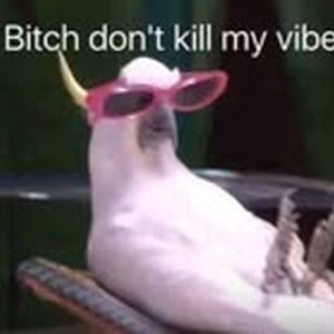 Slapeloze Nachten (slowed)