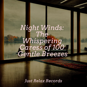 Moonbeam Serenade Slumber