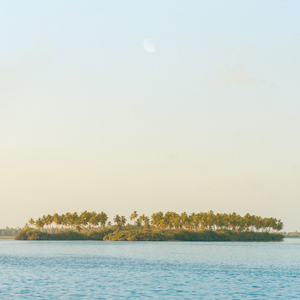 사랑이 깊어가는 계절