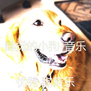 狗午睡(休闲装)