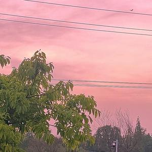 “愛意藏心意難平”