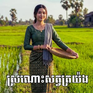 ស្រណោះសត្វត្រយ៉ង(បទREmix)