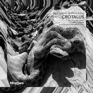 Crotalus (TouchTalk Remix)