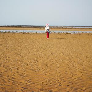 落日余晖（治疗系音乐）