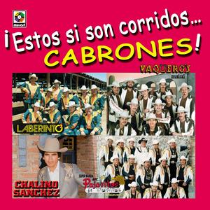 El Crimen de Culiacan