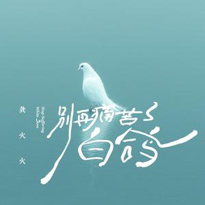别再痛苦了白鸽