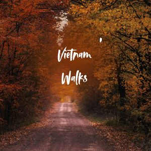Vietnam Walks