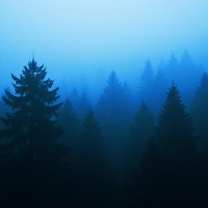 more than this (slowed & reverb)