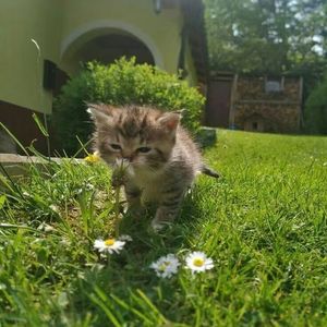 My Only One(speed up)