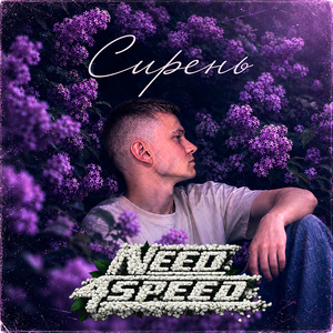 Сирень