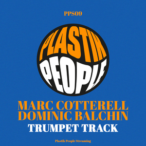 Trumpet Track (Micky More & Andy Tee Remix)