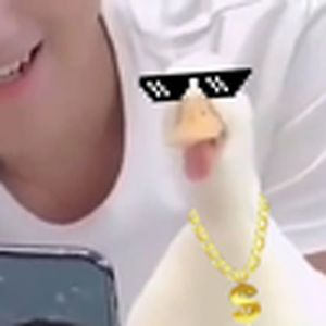 哇哈哈哈（鹅叫）