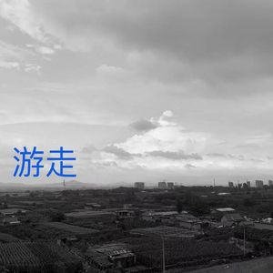 游走