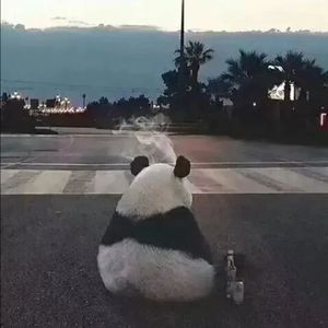 越过二0零0Prod EVO MUSIC