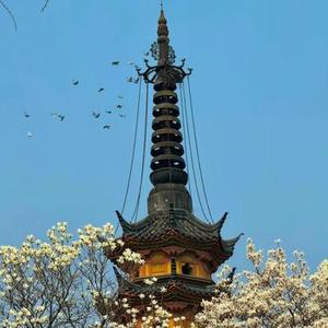 凌驾鲁鲁修  (泉此方)