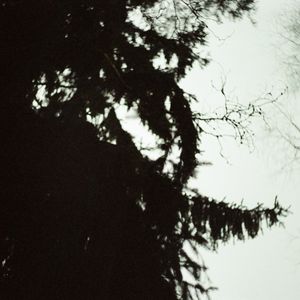 Ближе к утру