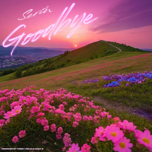 Goodbye