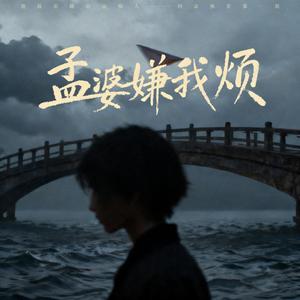 孟婆嫌我烦 (伴奏)