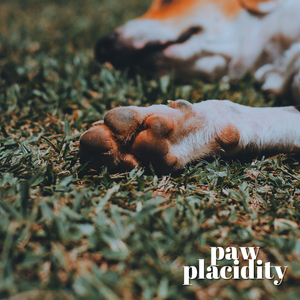 Peaceful Peach Savoring Calm Moments