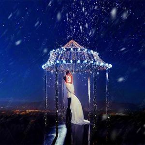 只要为你活一天_歌手杨进