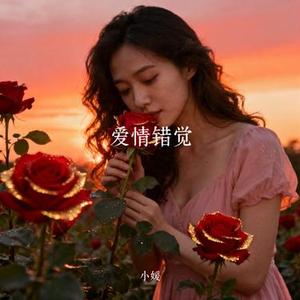 爱情错觉 (Cover 王娅)